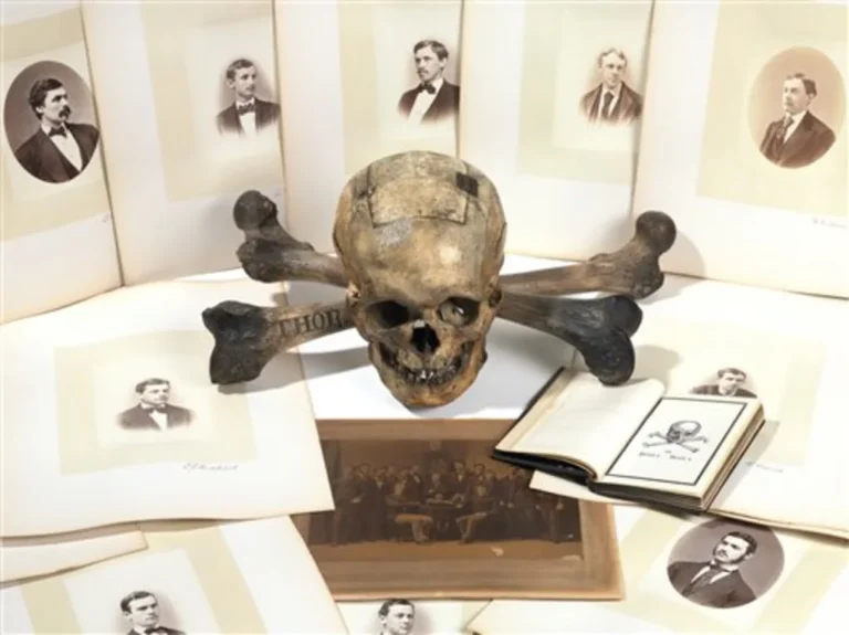 Historical records of the skull and bones society contrasting with modern global elite planning systems.