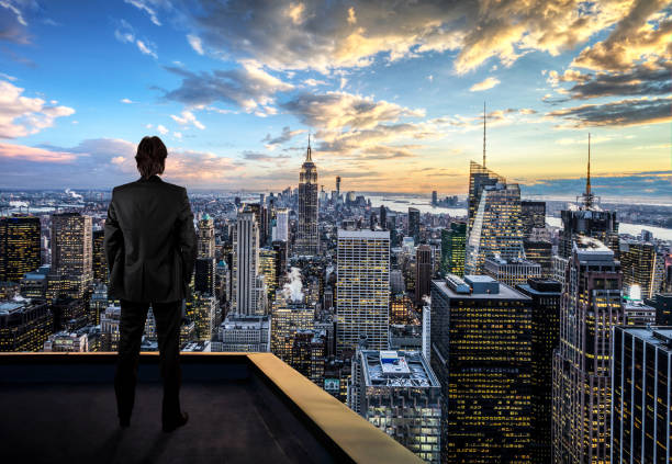  An accomplished individual applying systematic organizational principles to achieve professional authority.